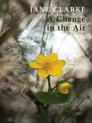 cover image of A Change in the Air